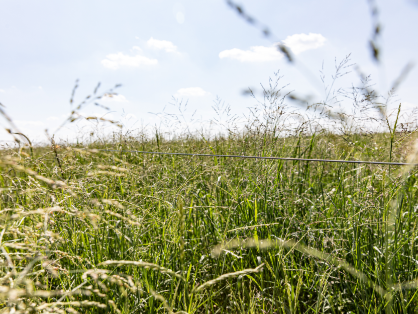 sustainability foundation news