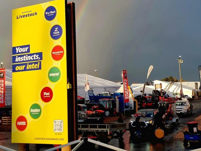 New Zealand New image