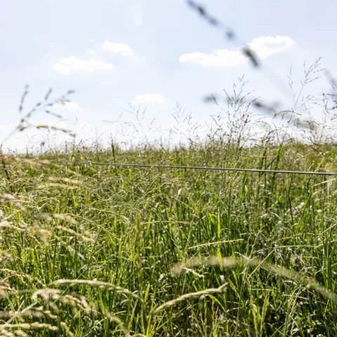 sustainability foundation news