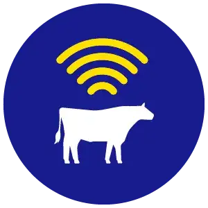 SMART FARMING cow and wireless signal