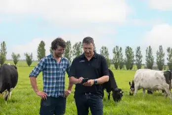 How data is transforming livestock farming in New Zealand  Image